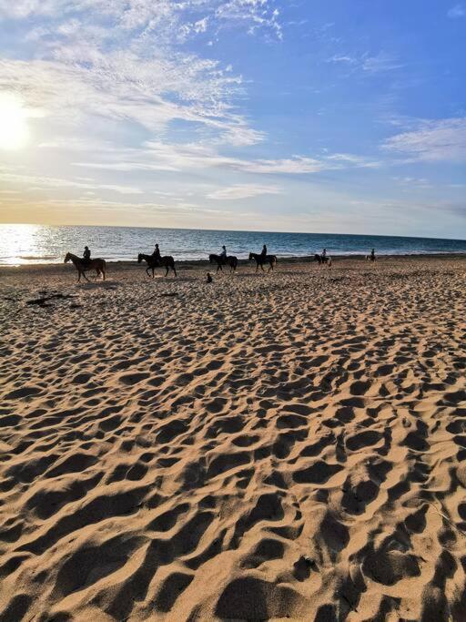 Studio De La Mer A Donville Les Bains Zewnętrze zdjęcie